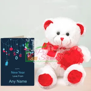 Soft Teddy New Year Surprise