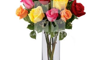 Gifting Trends and Strong History in Human Life