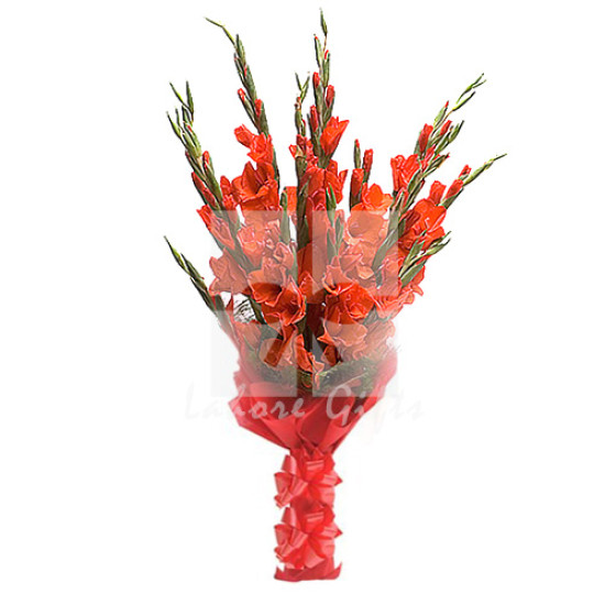 12 Gladiolus Bouquet