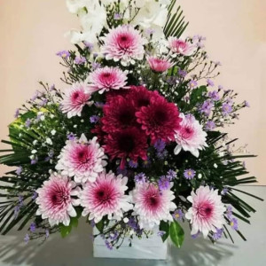 Bloomed Love Bloomed Love