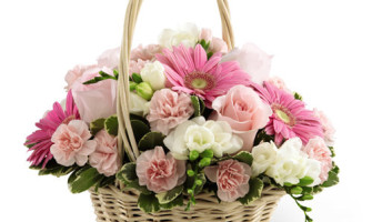 Flowers the Refresher Guns of Memories