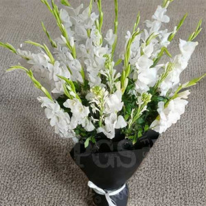 Serenade of Gladiolus Elegance